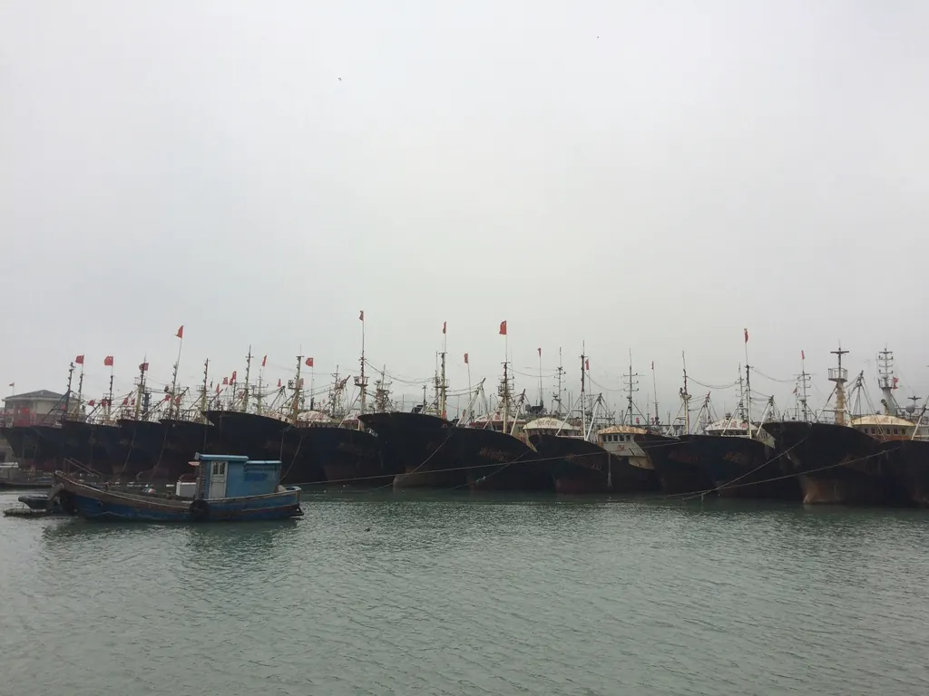 Boats in the harbour
