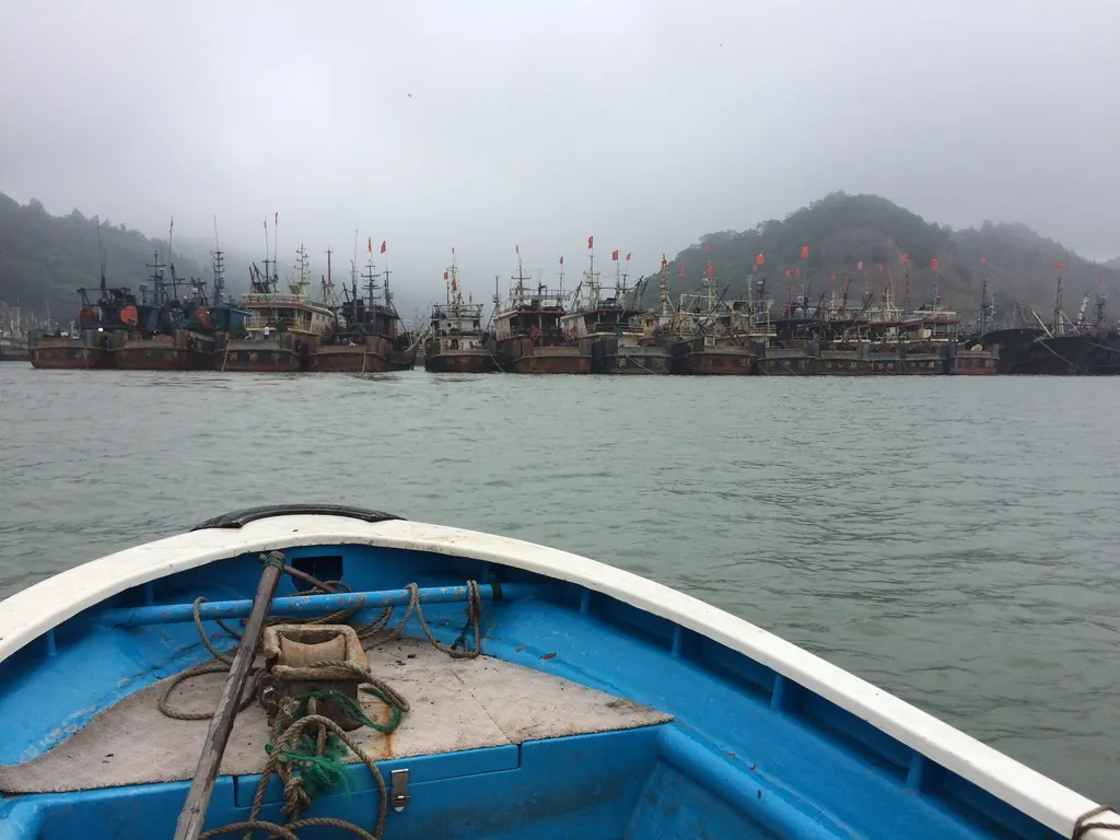 Harbour from a small boat