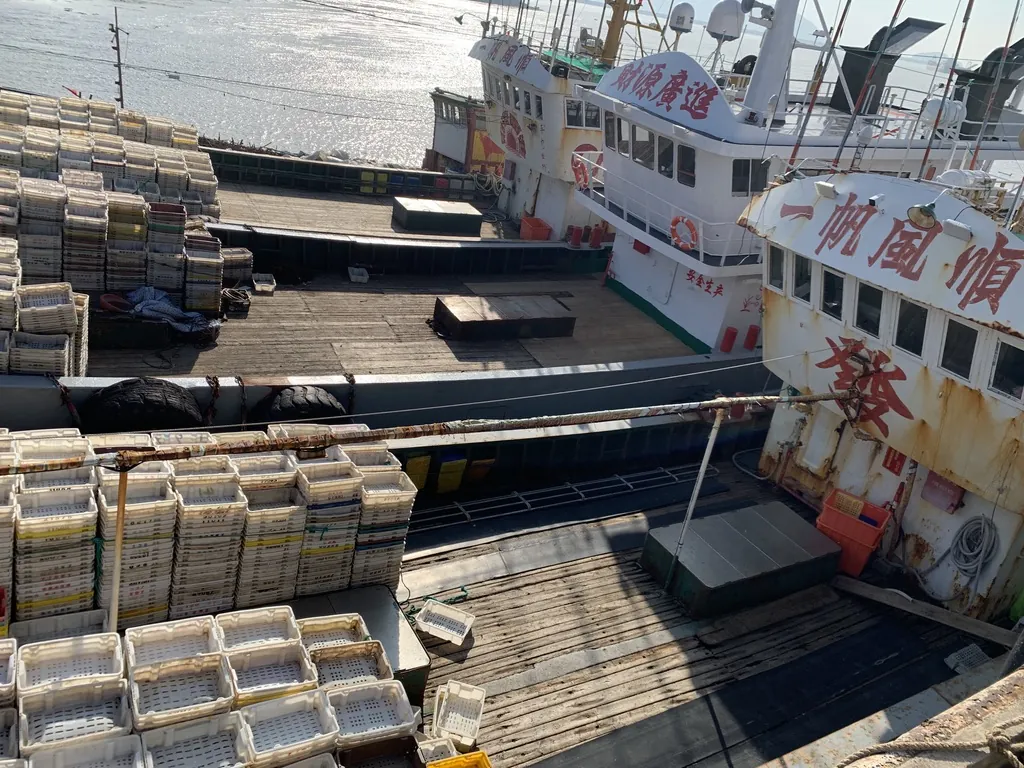 Fish crates on deck